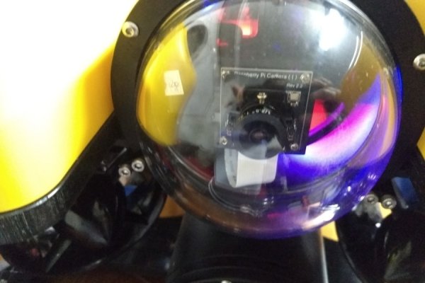 Где найти рабочую ссылку кракен